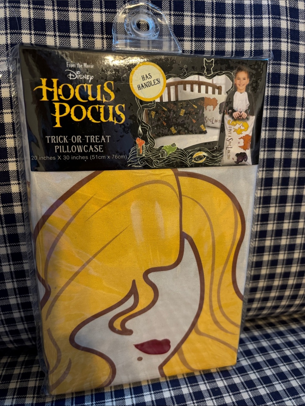 Disney Hocus Pocus trick or treat pillow case, has handles